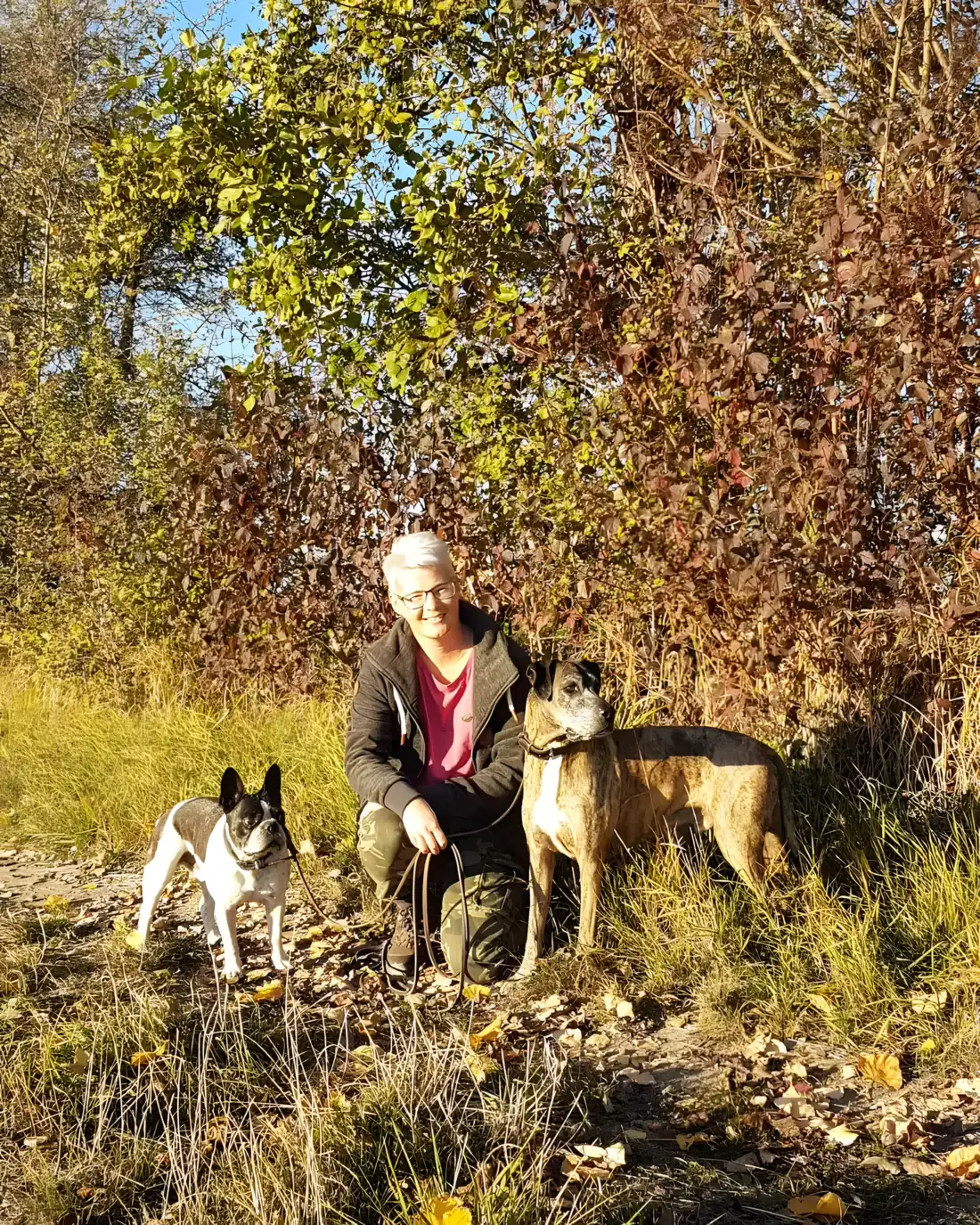 Melanie Weber kniet im herbstlichen Feld zwischen einem Boston Terrier und einem gestromten Hund