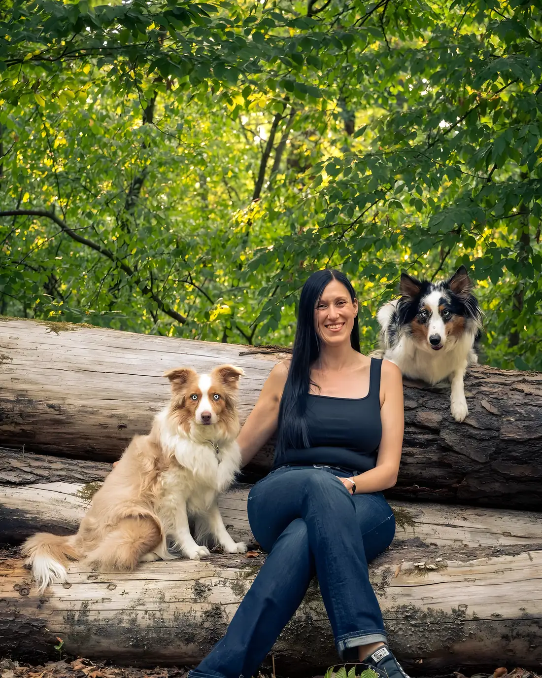 Sabine Busch sitzt auf einem Baumstamm im Wald zwischen zwei Australian Shepherds