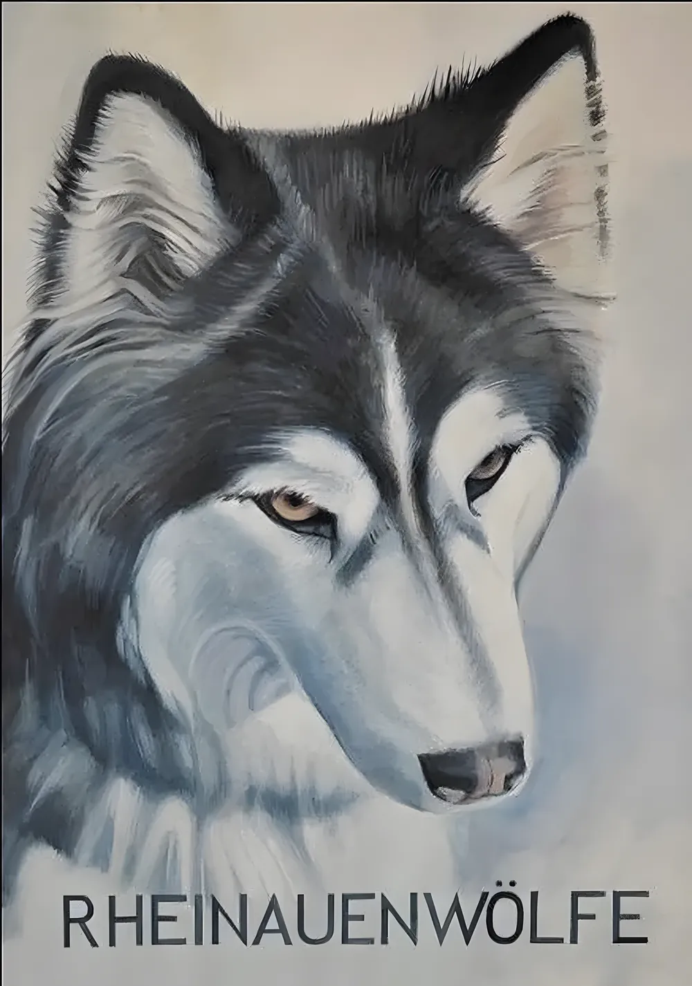 Handgemaltes Portrait eines grauen Wolfes, das Markenzeichen der Rheinauenwölfe
